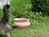 Katze ist jetzt in Bayern. Armes Tier, aber jetzt kann wieder an der Schleusenserie gearbeitet werden.